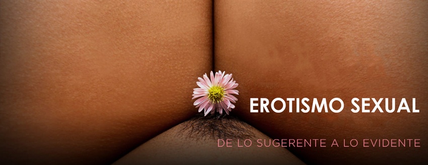 El erotismo del porno